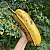 몇명이서 먹어도 될듯한 사이즈의 대왕 바나나