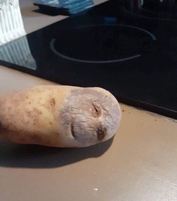 먹기 미안한 감자 ㅋㅋㅋ