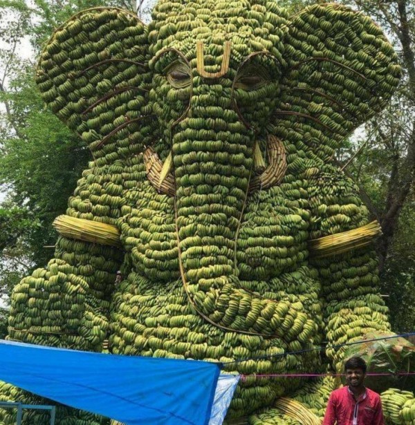 바나나로 만든 거대 코끼리